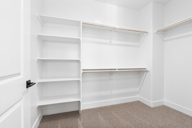 spacious closet with carpet