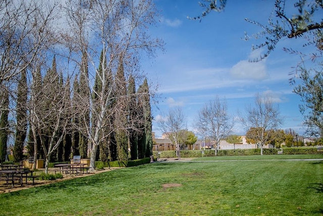 view of property's community with a lawn