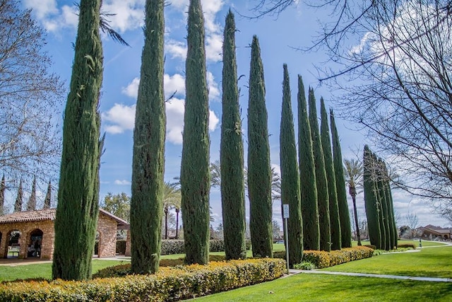 view of property's community featuring a lawn