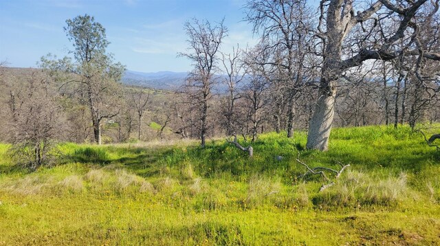 222 Big River Way, Coarsegold, CA 93614 - photo 10