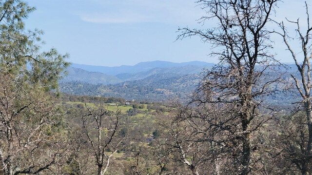 222 Big River Way, Coarsegold, CA 93614 - photo 4