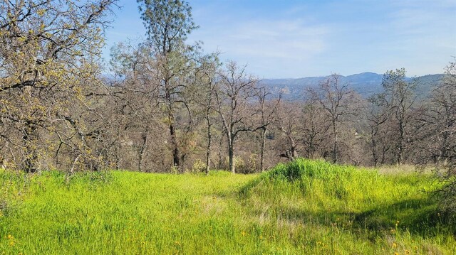 222 Big River Way, Coarsegold, CA 93614 - photo 2