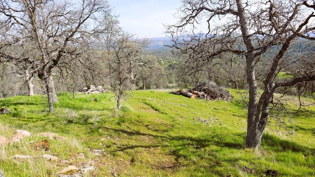 222 Big River Way, Coarsegold, CA 93614 - photo 6
