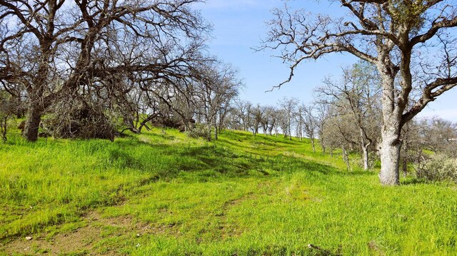 222 Big River Way, Coarsegold, CA 93614 - photo 5