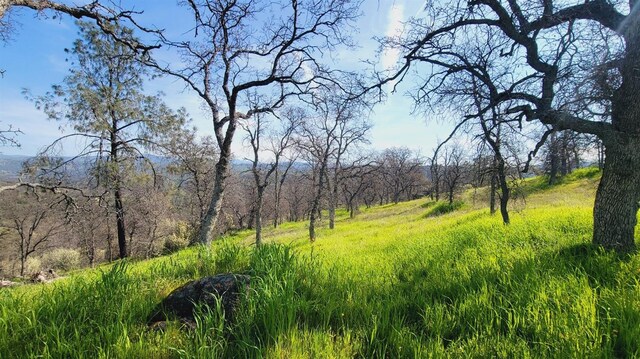222 Big River Way, Coarsegold, CA 93614 - photo 11
