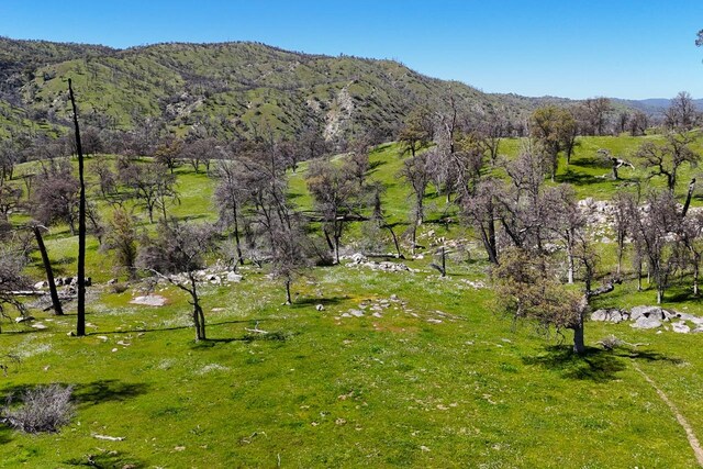 39249 Rd 800, Raymond, CA 93653 - photo 10