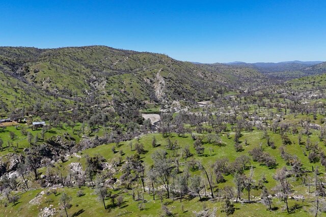 39249 Rd 800, Raymond, CA 93653 - photo 29