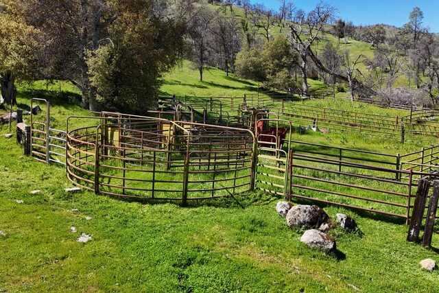 39249 Rd 800, Raymond, CA 93653 - photo 13