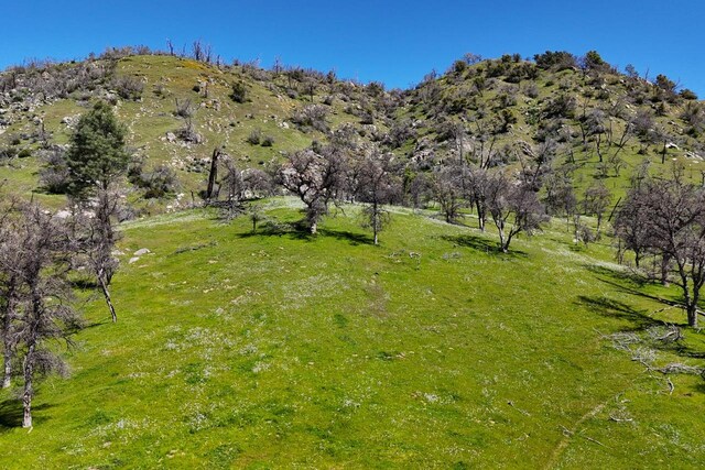 39249 Rd 800, Raymond, CA 93653 - photo 9