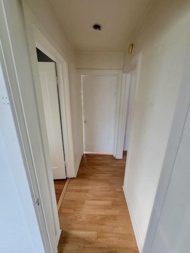 347 Coolidge St, Coalinga, CA 93210 - hall featuring baseboards and light wood-style floors