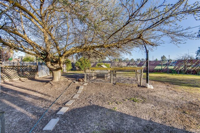 18412 Daley Rd, Madera, CA 93638 - photo 4