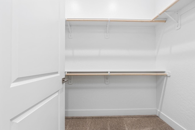 walk in closet featuring carpet floors