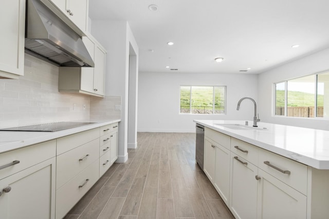 kitchen with stainless steel dishwasher, a wealth of natural light, under cabinet range hood, and light wood-type flooring