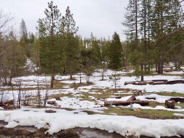 view of snow covered land