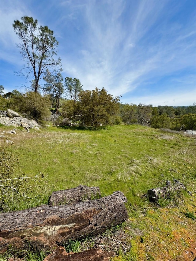 0 Long Hollow Dr, Coarsegold, CA 93614