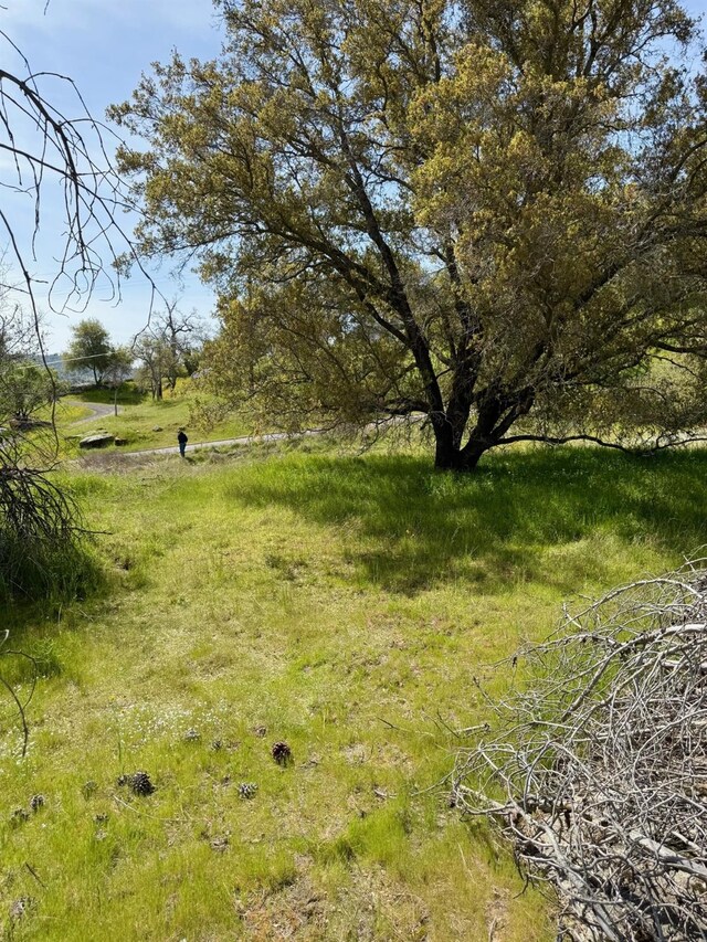 0 Long Hollow Dr, Coarsegold, CA 93614
