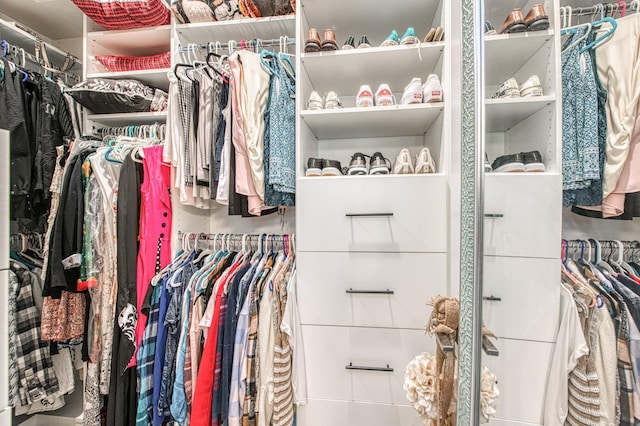 view of spacious closet