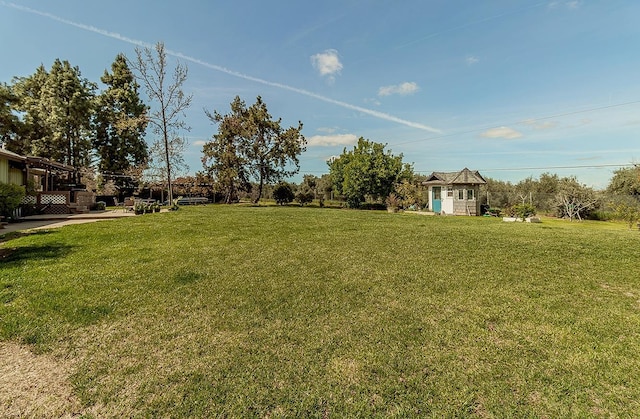 41371 Butte Way, Madera, CA 93636 - view of green lawn