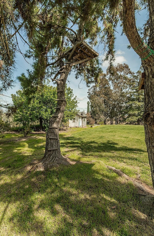 41371 Butte Way, Madera, CA 93636 - view of green lawn
