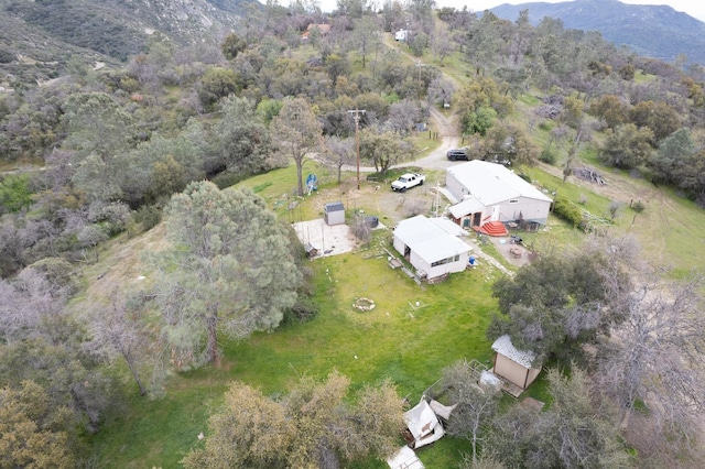 drone / aerial view featuring a mountain view