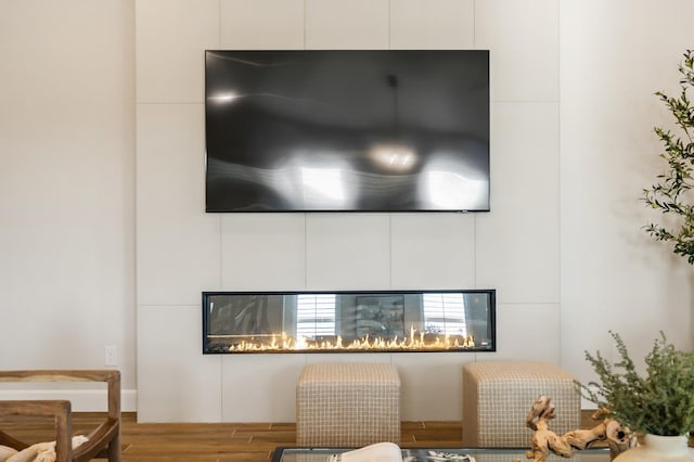 details with wood finished floors and a fireplace