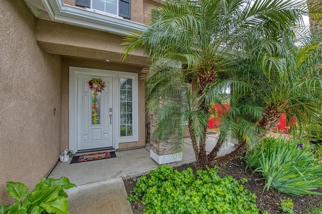 entrance to property featuring stucco siding