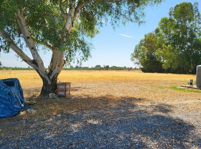 2744 N Locan Ave, Fresno, CA 93619 - view of yard