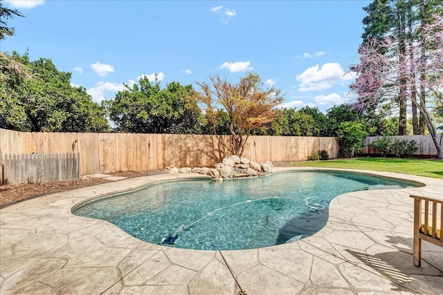 355 Old Line Ave, Exeter, CA 93221 - view of pool featuring a fenced backyard, a fenced in pool, and a patio