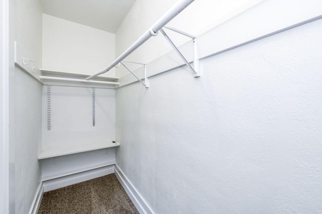 655 E Normal Ave, Fresno, CA 93704 - spacious closet with carpet floors
