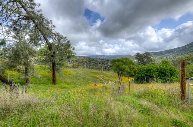 1 Pennyroyal Ln, Prather, CA 93651