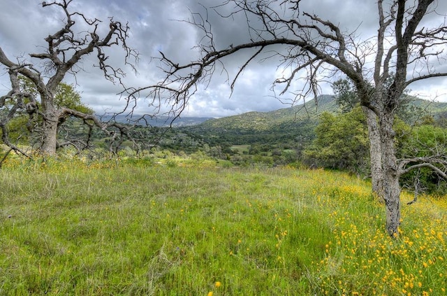 1 Pennyroyal Ln, Prather, CA 93651