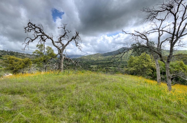 1 Pennyroyal Ln, Prather, CA 93651