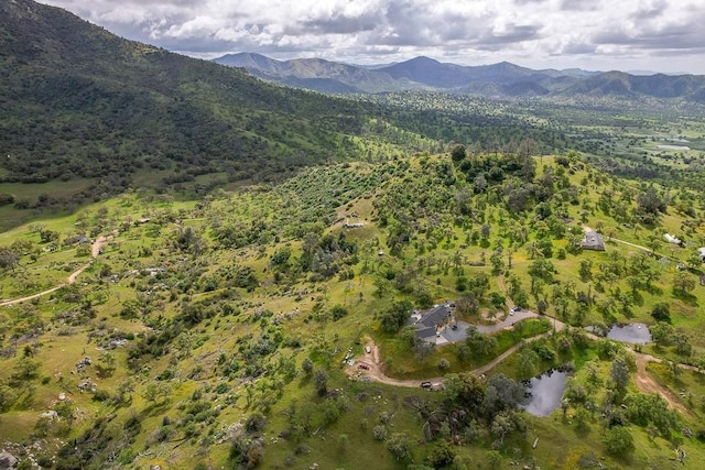 1 Pennyroyal Ln, Prather, CA 93651