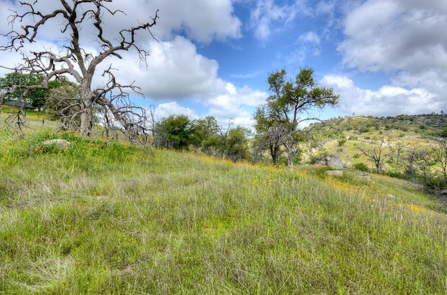 1 Pennyroyal Ln, Prather, CA 93651
