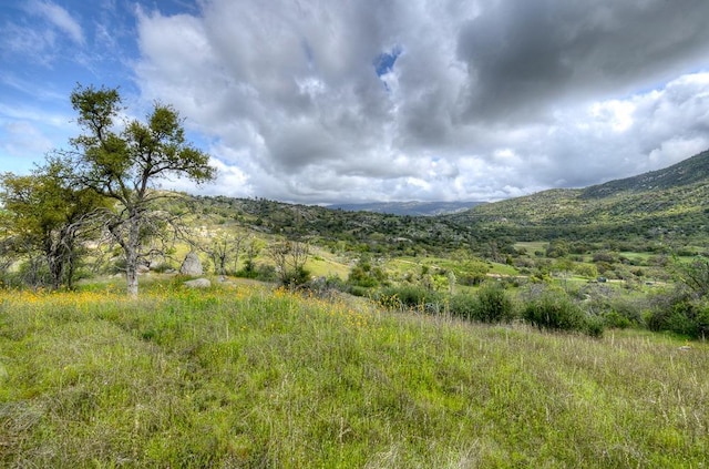 1 Pennyroyal Ln, Prather, CA 93651