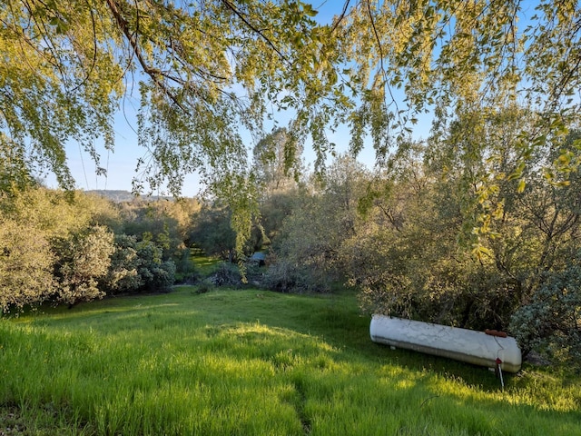 45936 Spring Trl, Coarsegold, CA 93614 - photo 52