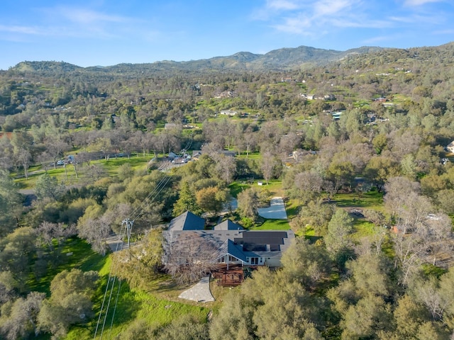 45936 Spring Trl, Coarsegold, CA 93614 - photo 59