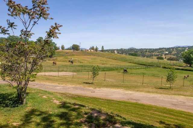 view of yard featuring a rural view, driveway, and fence