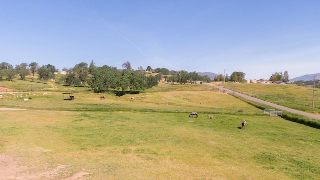 view of yard with a rural view and a mountain view