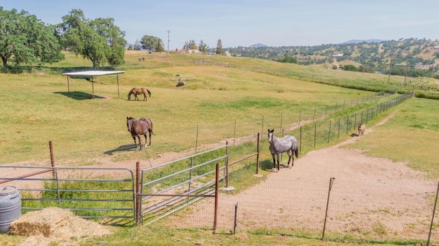 view of community featuring a rural view and fence