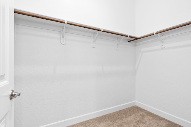 276 Huckleberry Ln S, Madera, CA 93636 - walk in closet with carpet
