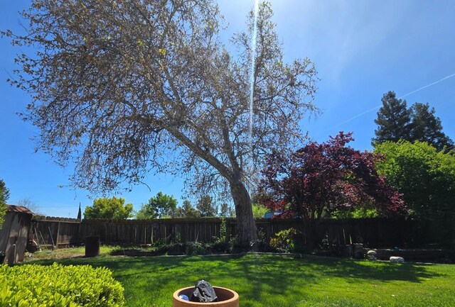 26174 Haley Way, Madera, CA 93638 - view of yard with a fenced backyard