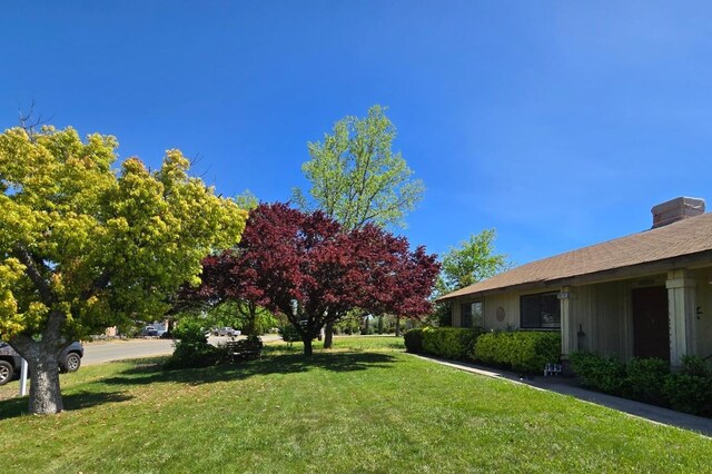26174 Haley Way, Madera, CA 93638 - view of yard