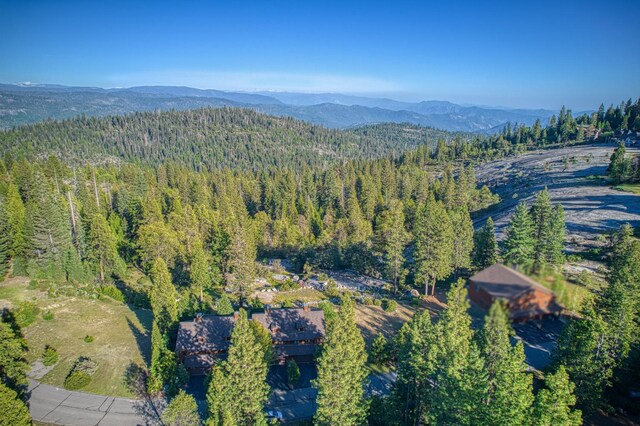 42170 Majestic Ln, Shaver Lake, CA 93664 - photo 54