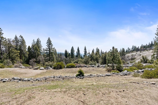 42170 Majestic Ln, Shaver Lake, CA 93664 - photo 44