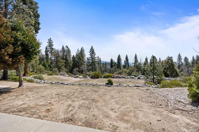 42170 Majestic Ln, Shaver Lake, CA 93664 - photo 43