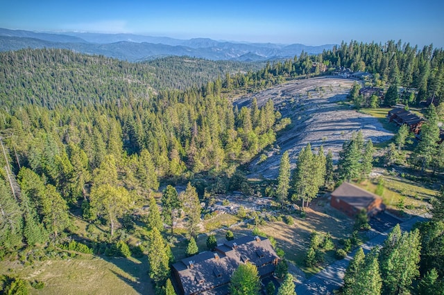 42170 Majestic Ln, Shaver Lake, CA 93664 - photo 53