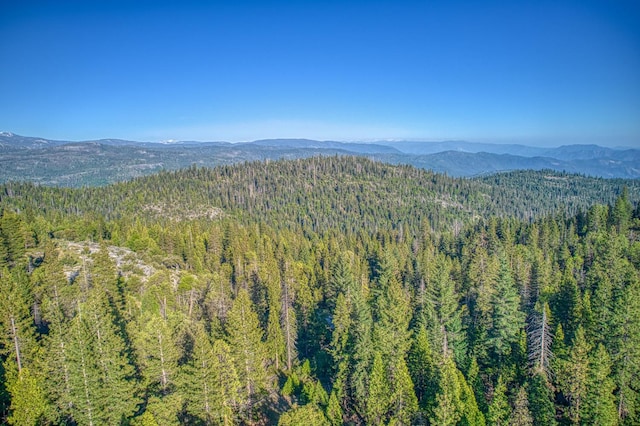 42170 Majestic Ln, Shaver Lake, CA 93664 - photo 61