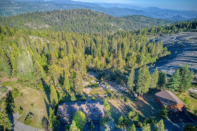 42170 Majestic Ln, Shaver Lake, CA 93664 - photo 52