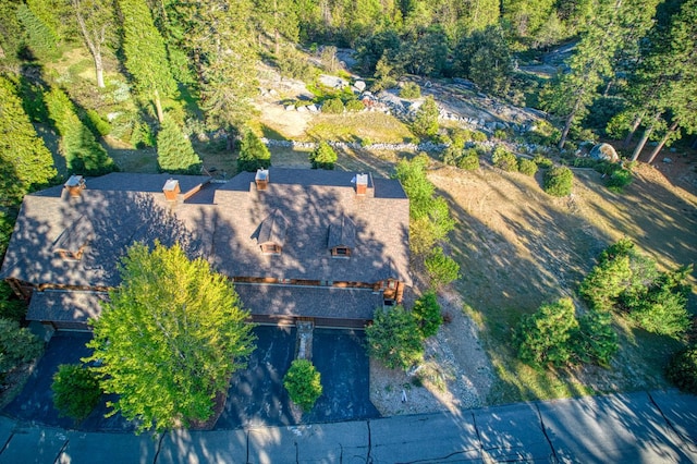 42170 Majestic Ln, Shaver Lake, CA 93664 - photo 51